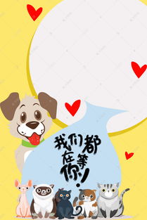 ky体育官方平台app