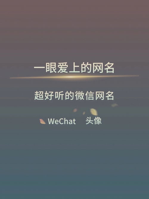 乐竞官网app
