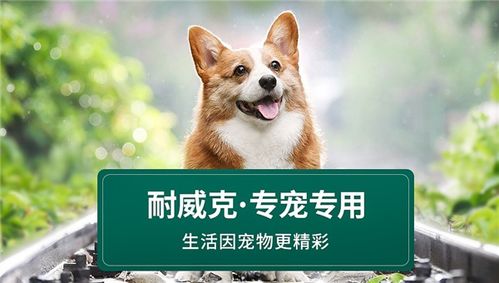 乐鱼体育APP全站下载