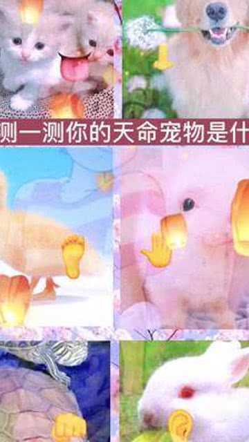 完美体育注册登录APP下载