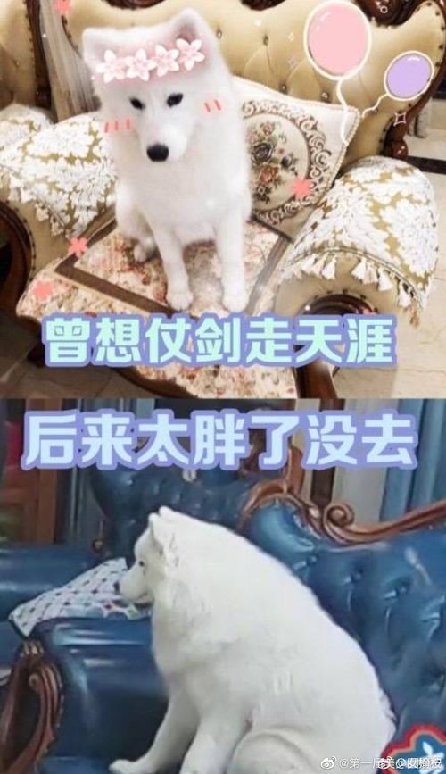 易发体育app下载