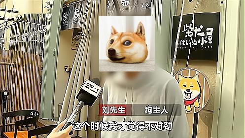 电竞竞猜APP官网