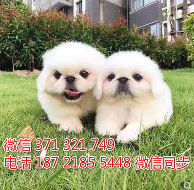 6566体育app是什么东西