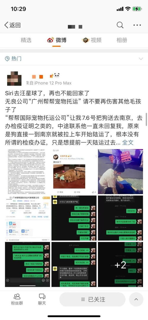 开运app体育官网入口下载安装苹果